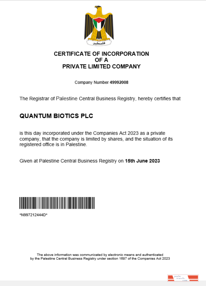 Palestine business registration certificate Word and PDF template